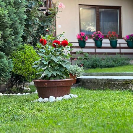 City Centar Apartman Saraievo Exterior foto