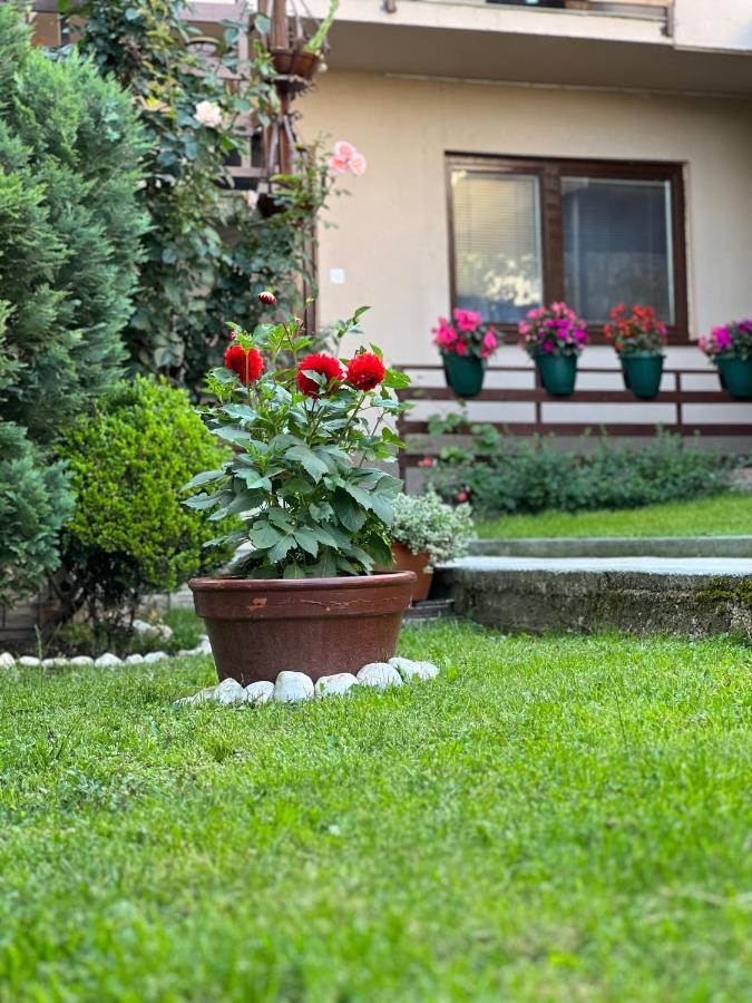 City Centar Apartman Saraievo Exterior foto